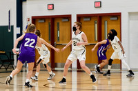 Chantilly v. Westfield Girls Basketball