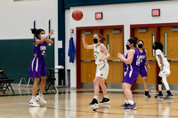 Chantilly v. Westfield Girls Basketball