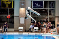 2019 Oakton Dive
