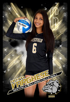 Westfield Girls Volleyball Class of 2026 Photos