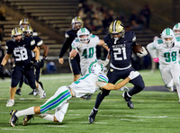 South Lakes v. Westfield (VHSL Class 6D Region Semifinal)