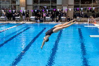 2023-24 Westfield Dive