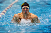2024-25 Westfield Swim & Dive